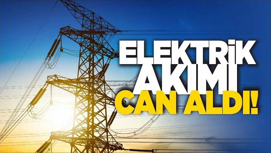 Elektrik Akımına Kapılarak Can Verdi!