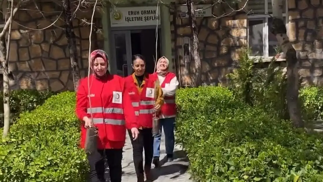 Siirt'te Eruh Kızılay Gönüllüleri Orman Haftası'nda Kütüphane Bahçesine Fidan Dikti