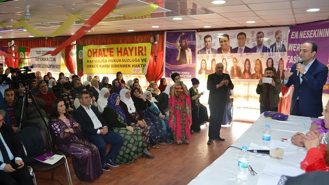HDP, SİİRT OLAĞAN 2. KONGRESİNİ YAPTI