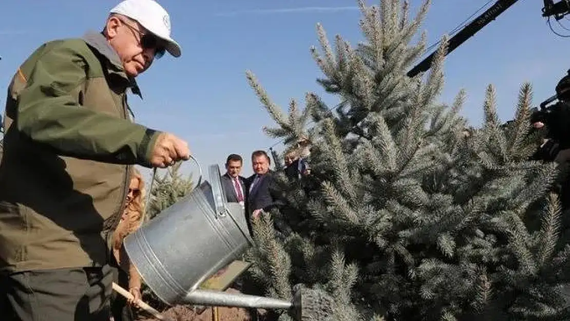 İlimizde Fidan Dikme Etkinliği Veyselkarani Beldesinde Gerçekleştirilecek
