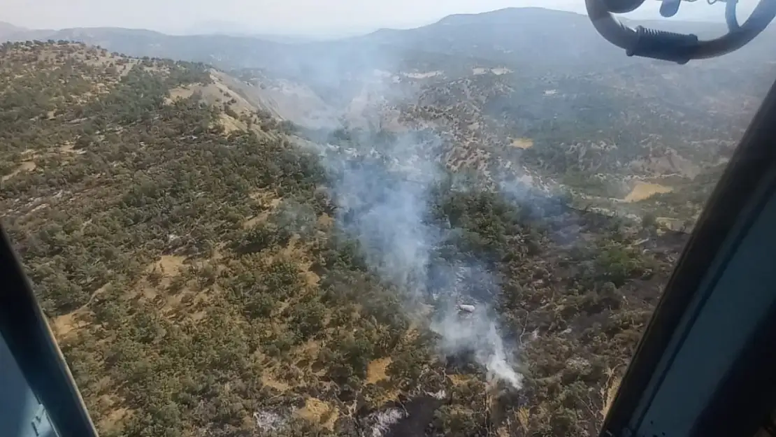 Komşu İlimiz Şırnak'ta Orman Yangını 8 Saatte Kontrol Altına Alındı