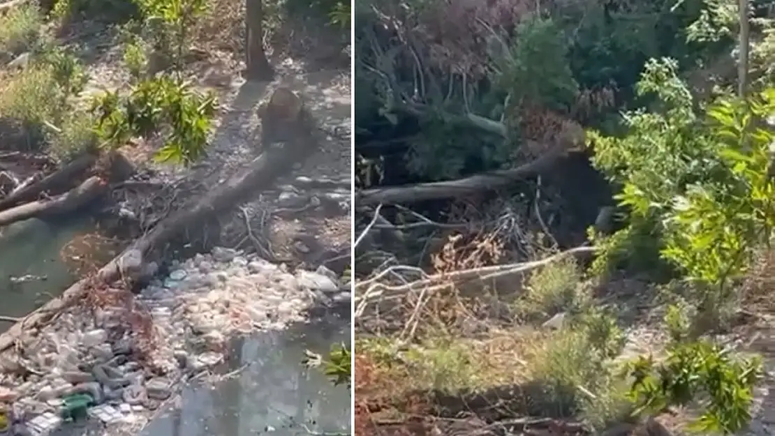 Siirt Baykan'daki Destumi Piknik Alanında Ağaç Kesimi ve Çevre Kirliliği Tepkisi