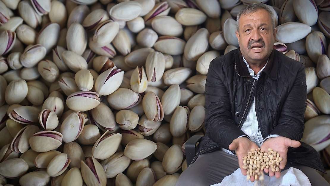 Siirt fıstığında ithal ve fiyat oyunu: '600 liraya alıp 1500 liraya satıyorlar'