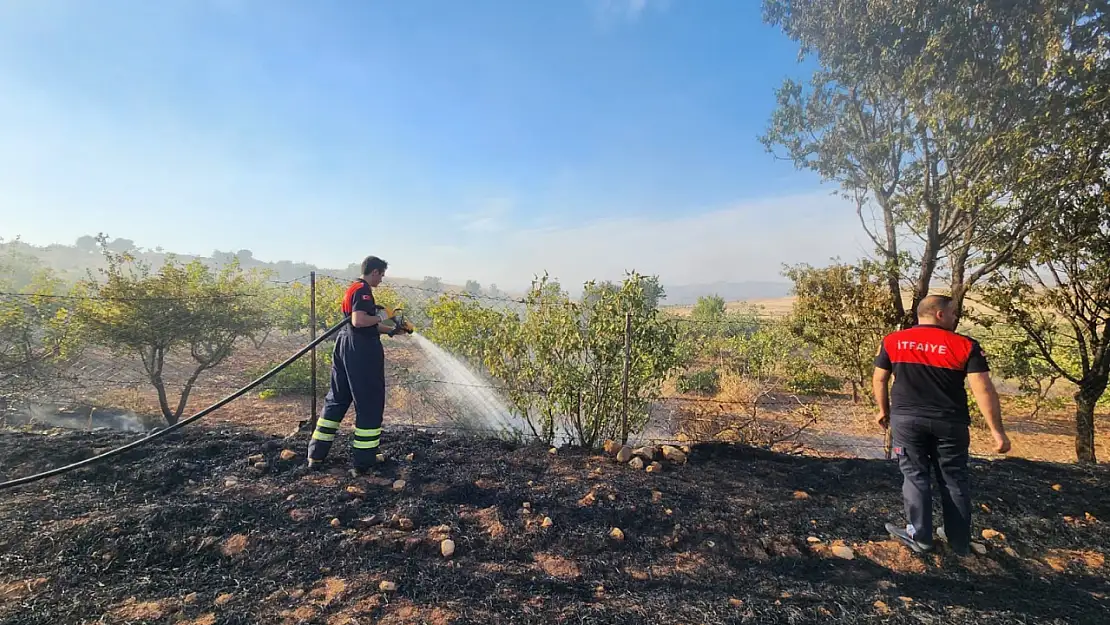 Siirt İtfaiyesi'nden Özverili Çalışma: Acil Durumlara Anında Müdahale