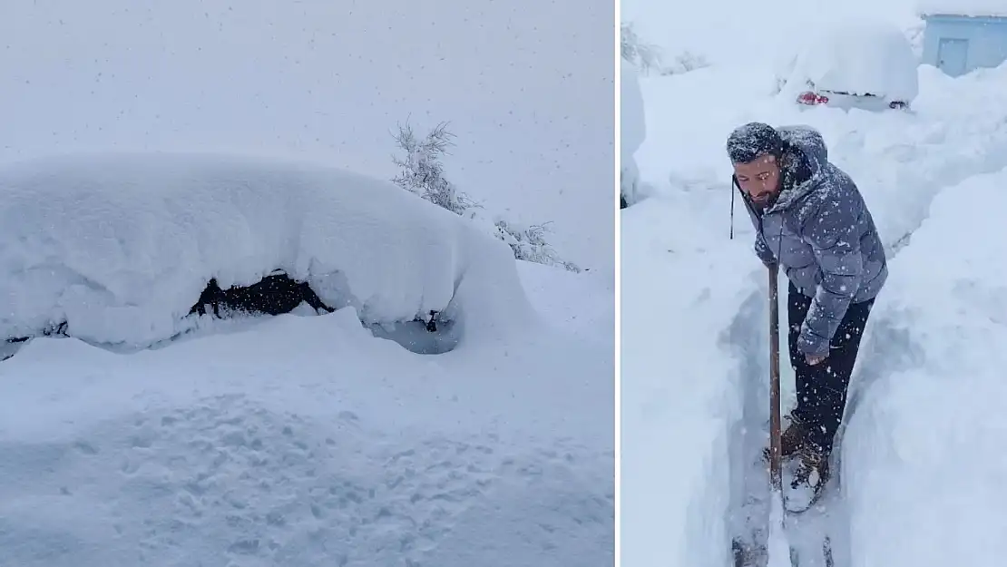 Siirt Şirvan'da 1 Metrelik Kar: Öğretmen Kürekle Yol Açtı