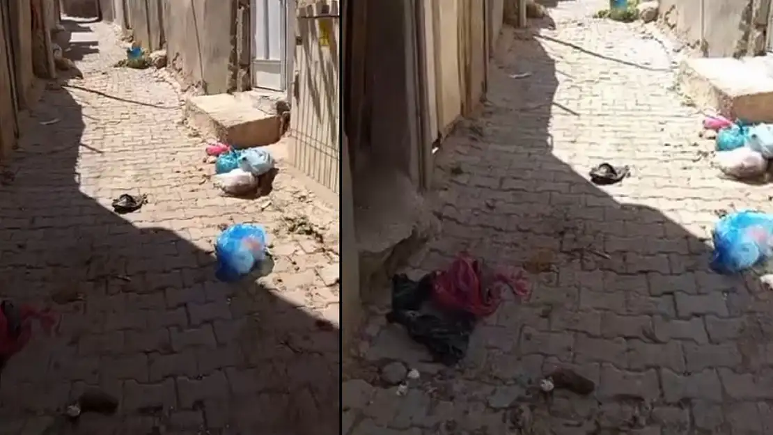 Siirt'te Dumlupınar Mahallesi'nde Çöp Tepkisi: Vatandaşlar Yardım İstiyor