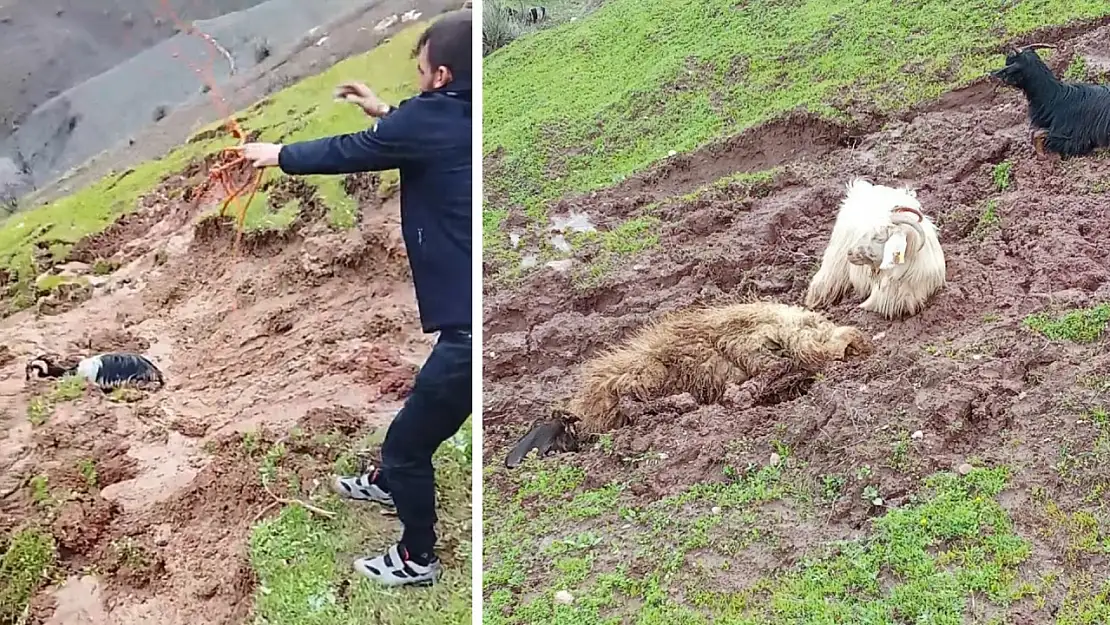 Siirt'te Toprak Kayması: 2 Hayvan Kayboldu, 9'u Kurtarıldı
