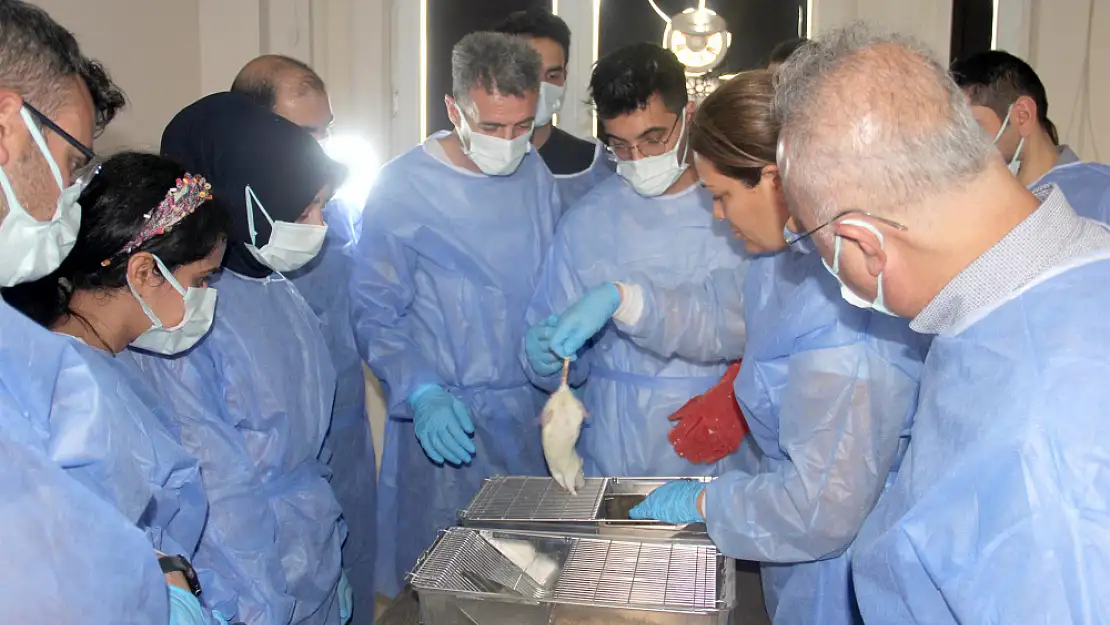 Siirt Üniversitesinde Deney Hayvanları Kullanım Sertifikası Eğitim Kursu Tamamlandı