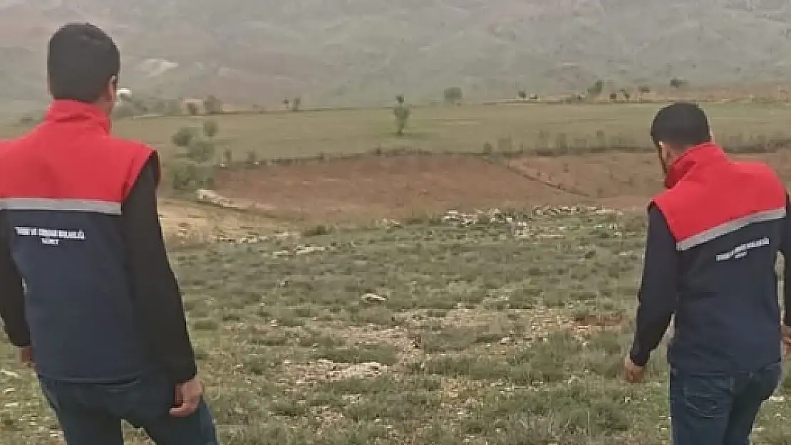 Siirt'te İlk Kez Yetiştirilen Kekik Bitkilerine Fenolojik Gözlem