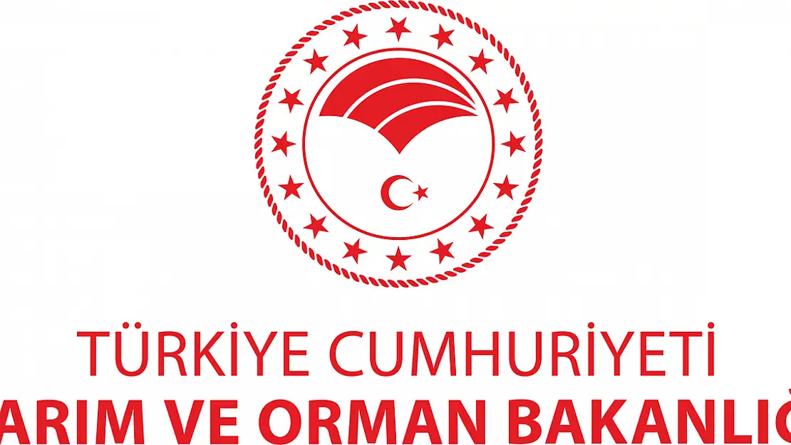 Tarım ve Orman Bakanlığı, Yaş Çay Alım Fiyatını Açıkladı