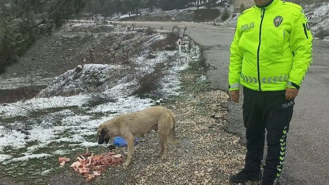 Trafik polisleri sokak hayvanlarını besledi