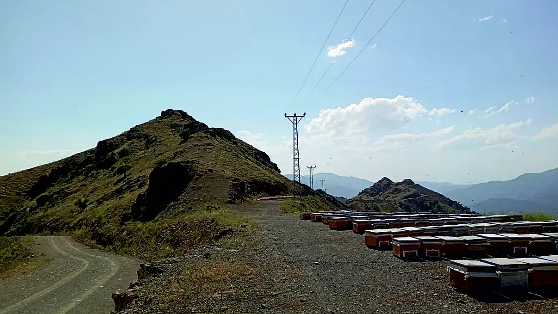 Vali Kızılkaya Talimat Verdi, Yayla Yolu Açıldı
