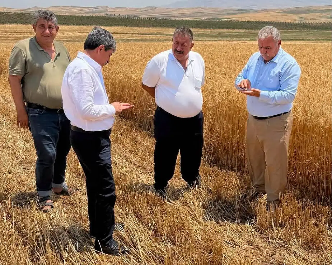 Kurtalan Belediye Eşbaşkanı Ali Rıza Bingöl, Hasat Sezonunda Çiftçilerle Buluştu