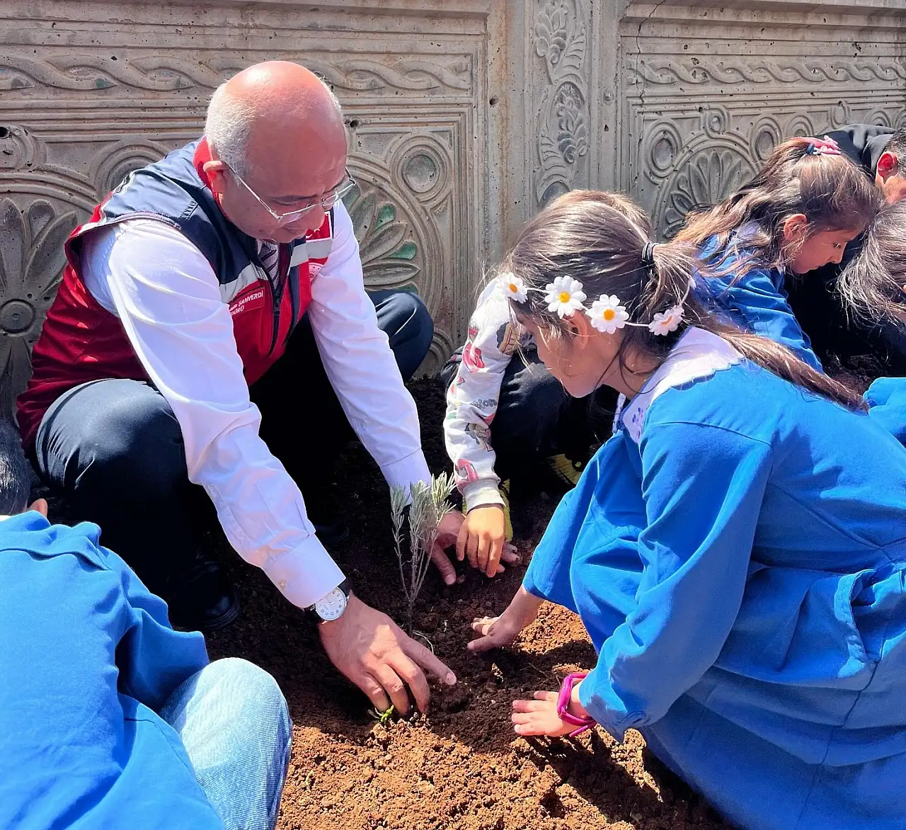 Siirt Şirvan'da Okul Bahçelerine Lavanta Dikildi