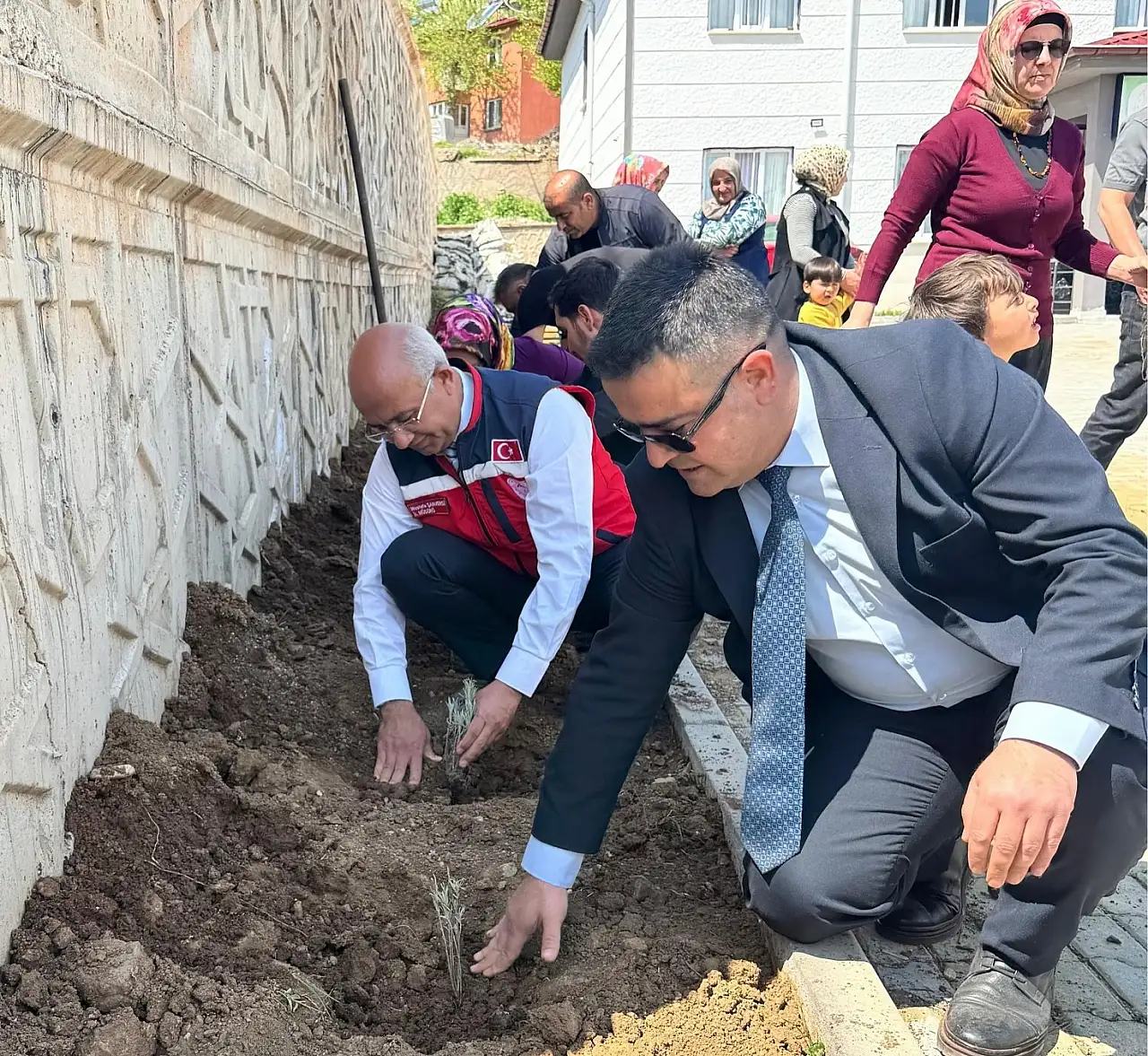 Siirt Şirvan'da Okul Bahçelerine Lavanta Dikildi