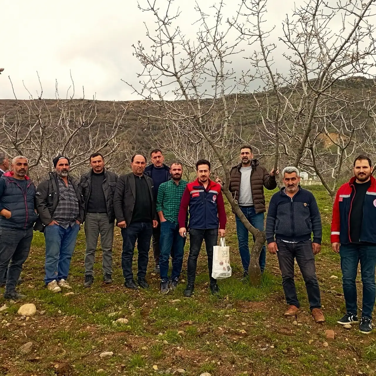 Siirt Baykan'da Fıstık Üreticilerine Döllenme Eğitimi Verildi