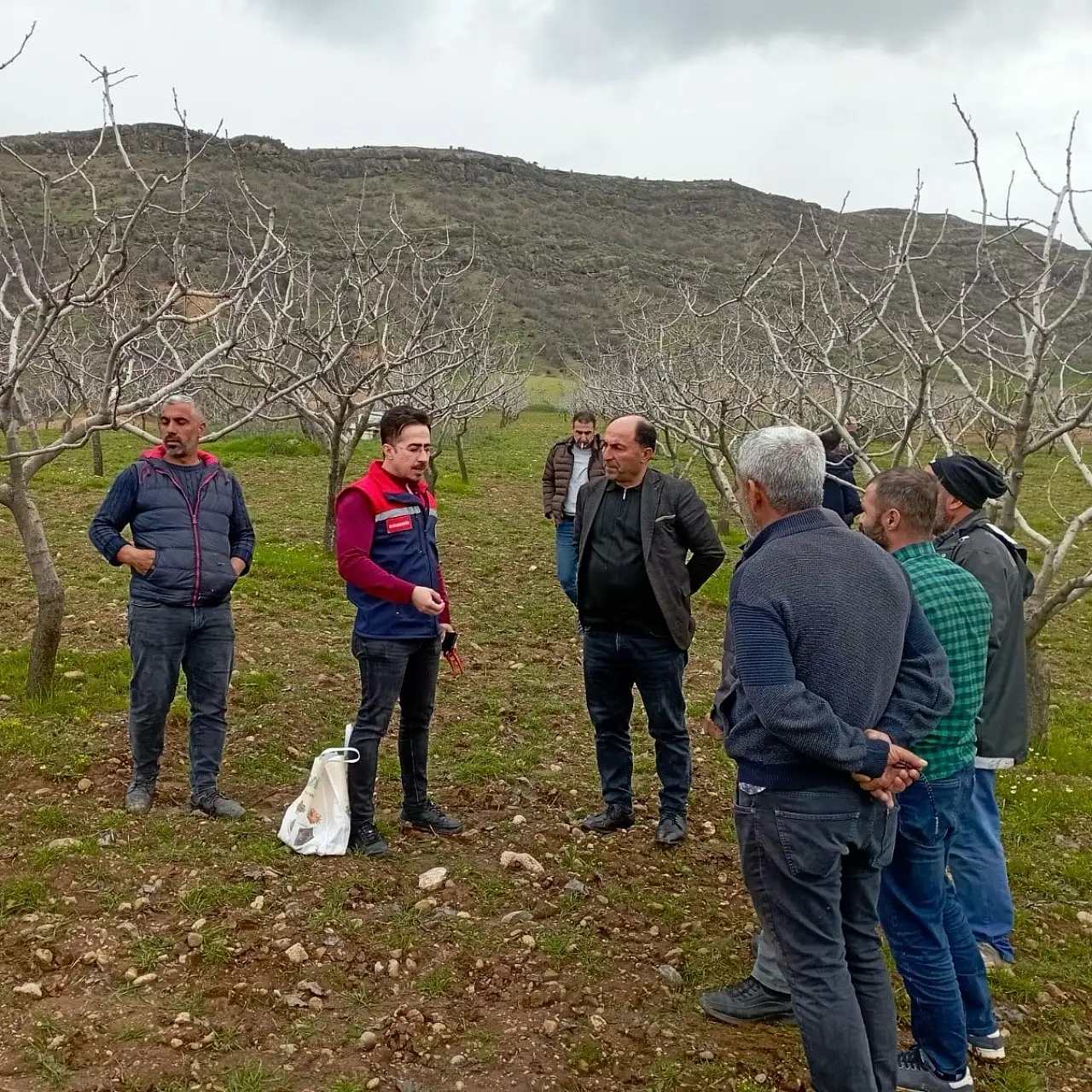 Siirt Baykan'da Fıstık Üreticilerine Döllenme Eğitimi Verildi