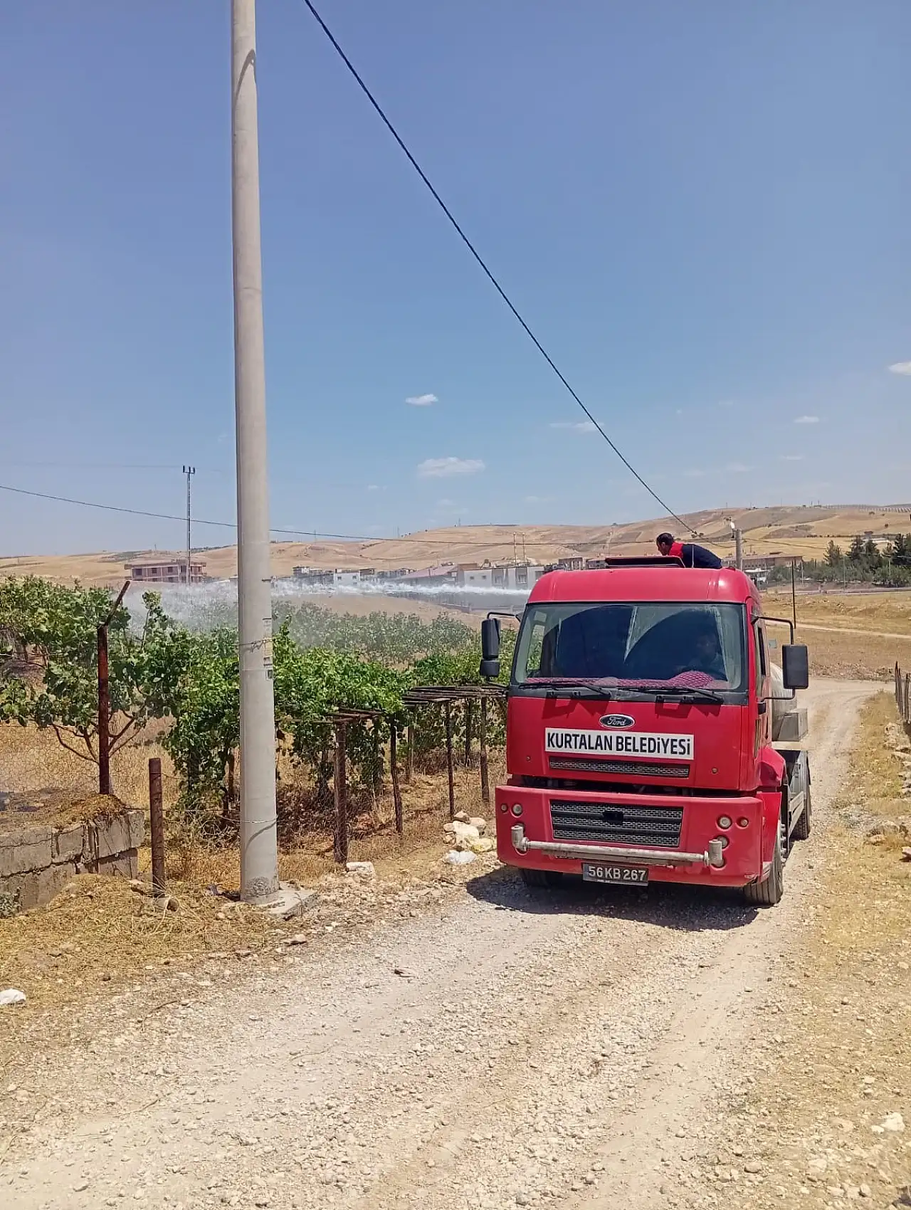 Kurtalan'da Fıstık Bahçesi Yangını: 95 Ağaç Zarar Gördü