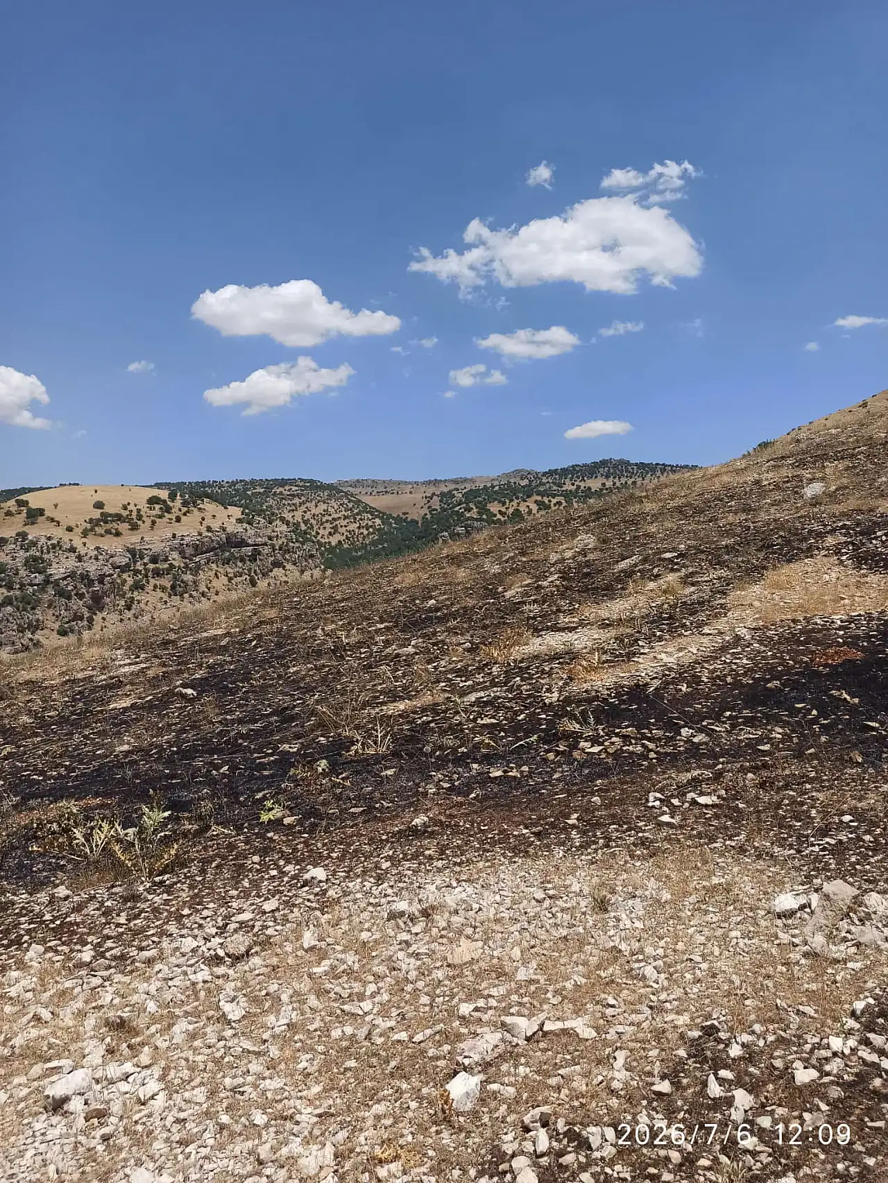 Siirt'te Çıkan Örtü Yangınını Köylüler Söndürdü