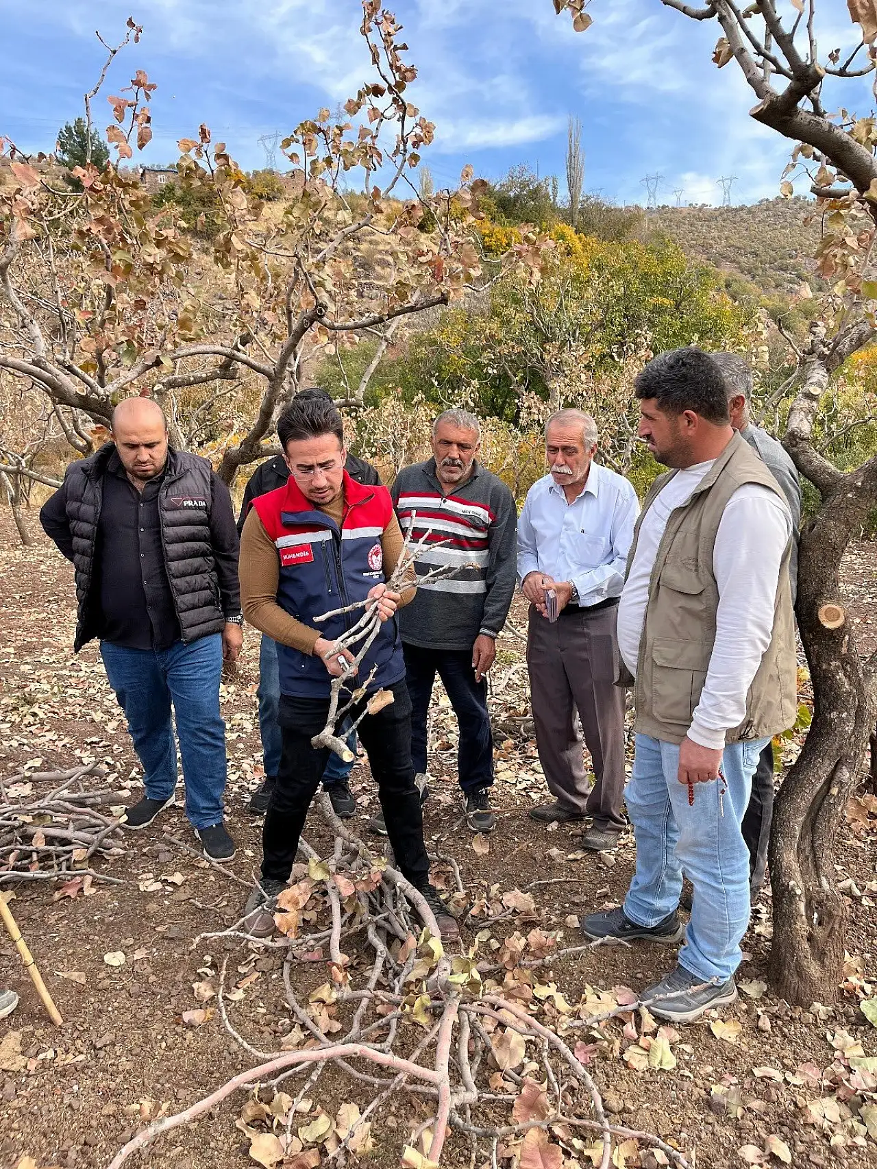 Siirt'te Üreticilere Fıstıkta Budama Eğitimi Verildi