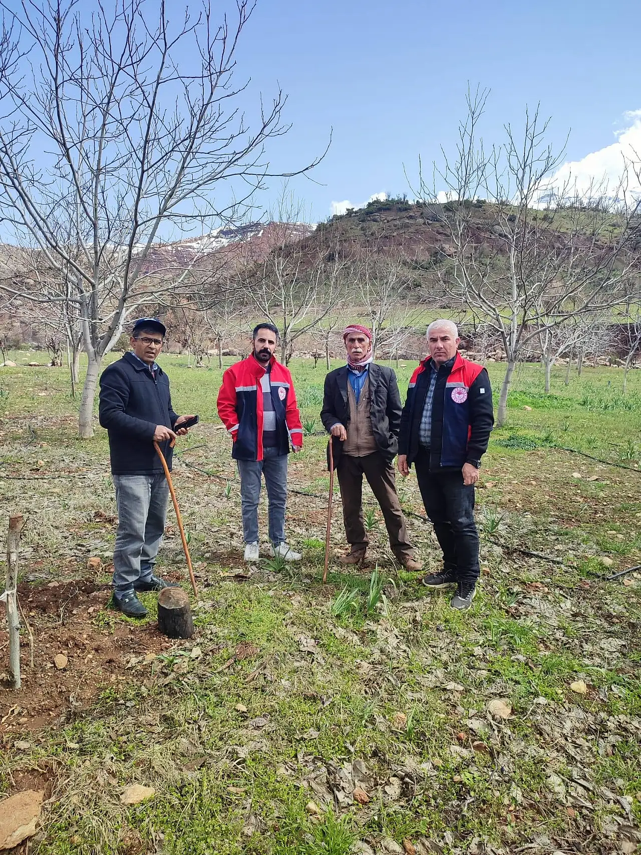 İlçe Tarım ve Orman İl Müdürlüğü Ekipleri Eruh'ta Ceviz Ağaçlarındaki Kurumayı İnceledi