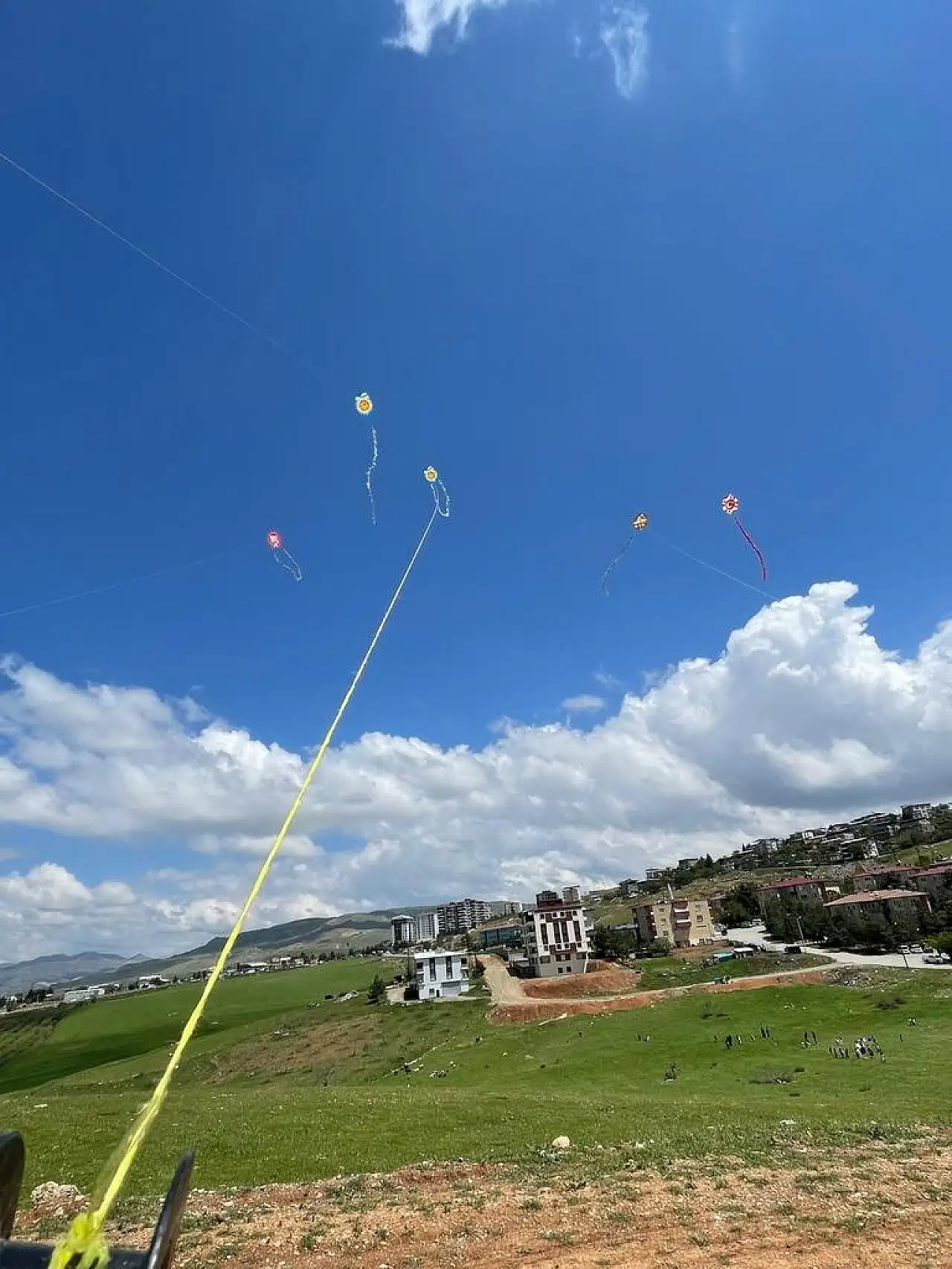 Siirt'te Koruma Altındaki Çocuklar İçin Uçurtma Etkinliği Düzenlendi