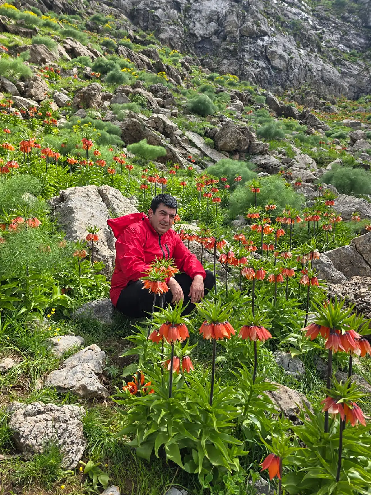 Siirt'in Gizli Cenneti Bacavan Yaylası İlgi Bekliyor: Ters Lale ve Benekli Semender Tehlike Altında