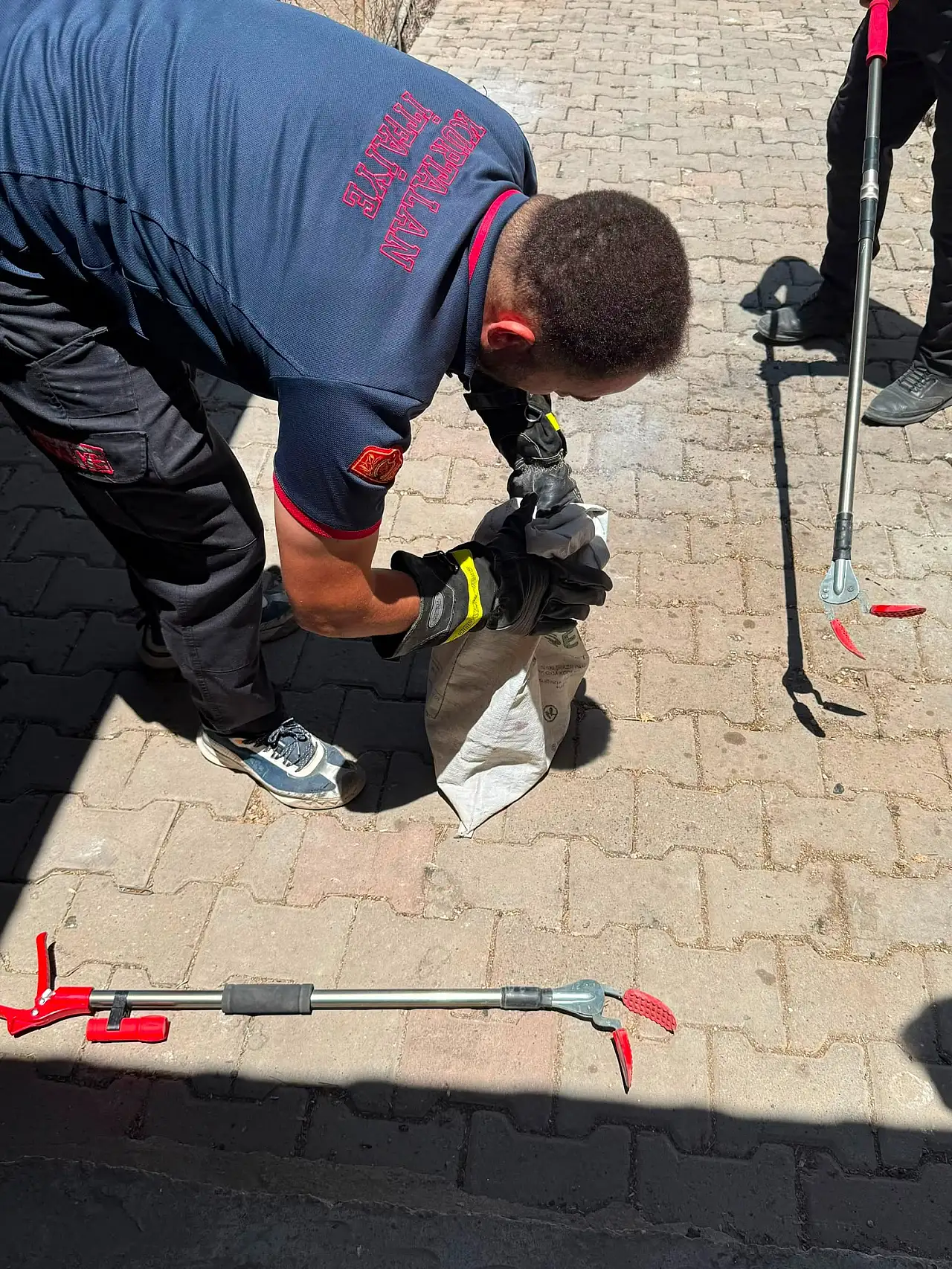 Siirt Kurtalan'da Yılan Yılanı Avladı, İtfaiye Ekipleri Müdahale Etti