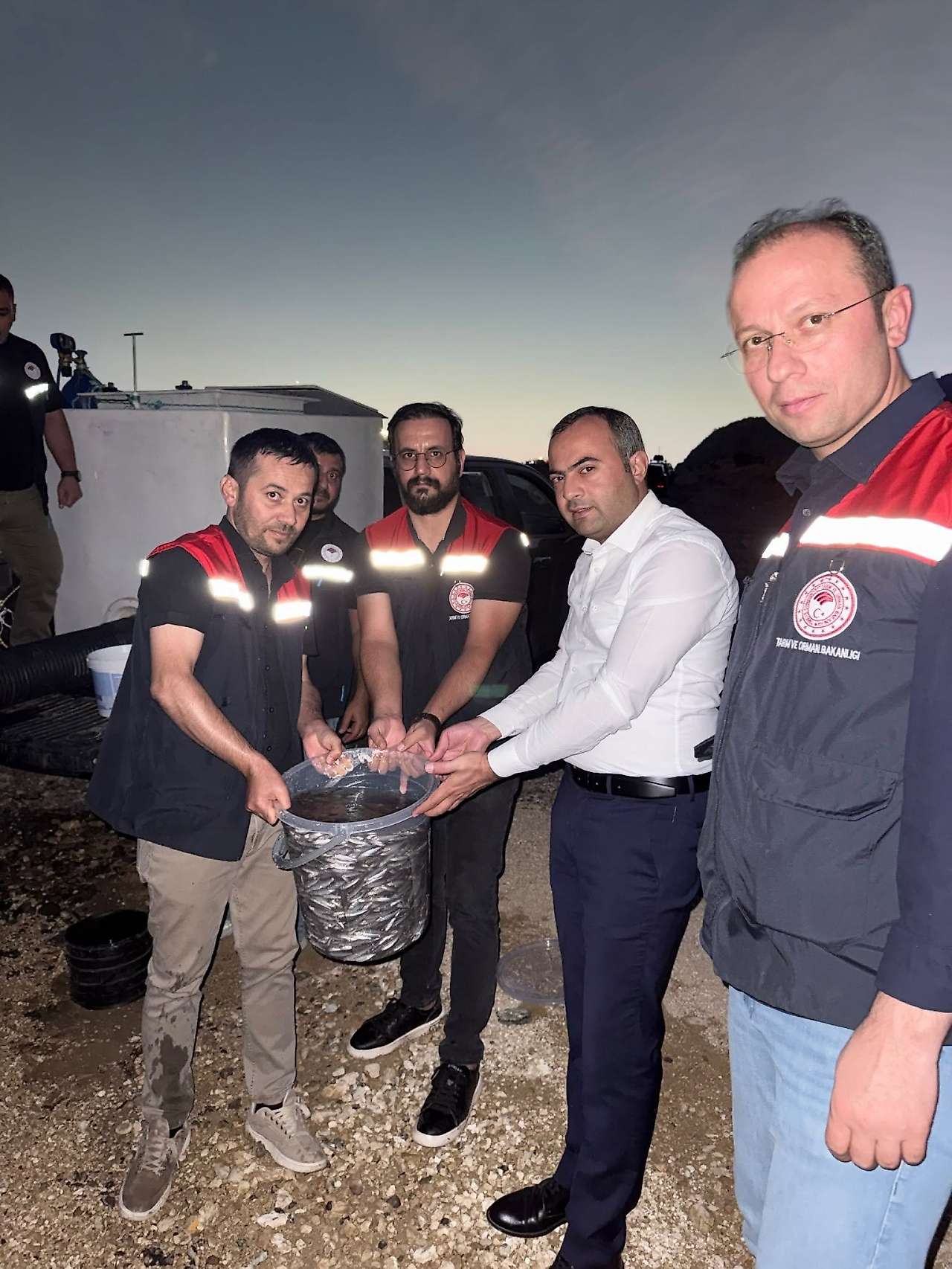Ilısu Barajı'na 1 Milyon Şabut Balığı Bırakıldı