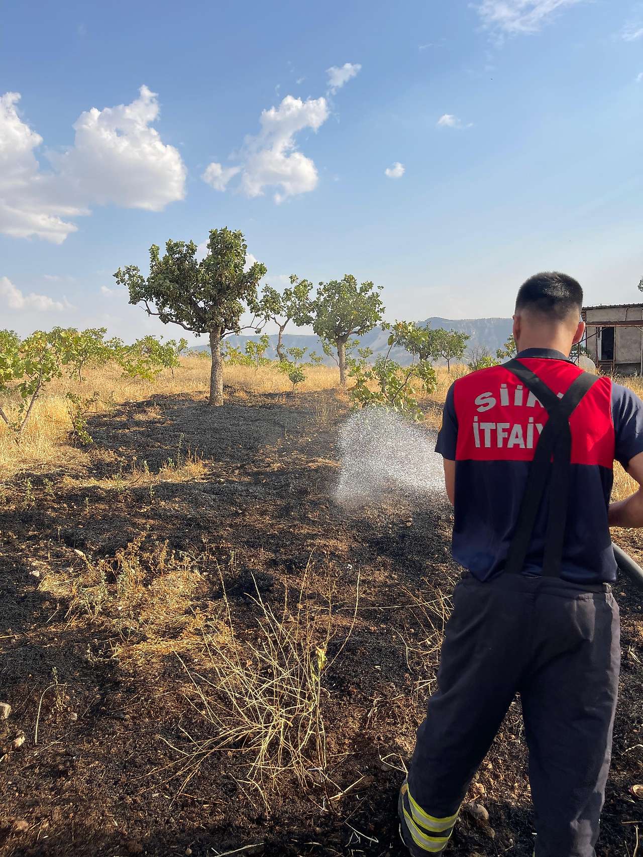 Siirt'te Bağ Yangını: 33 Fıstık Ağacı ve Çok Sayıda Meyve Ağacı Zarar Gördü
