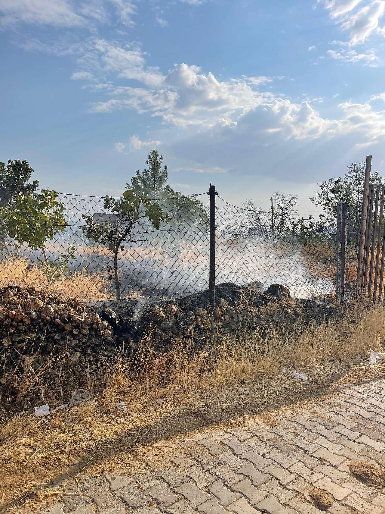 Siirt'te Bağ Yangını: 33 Fıstık Ağacı ve Çok Sayıda Meyve Ağacı Zarar Gördü