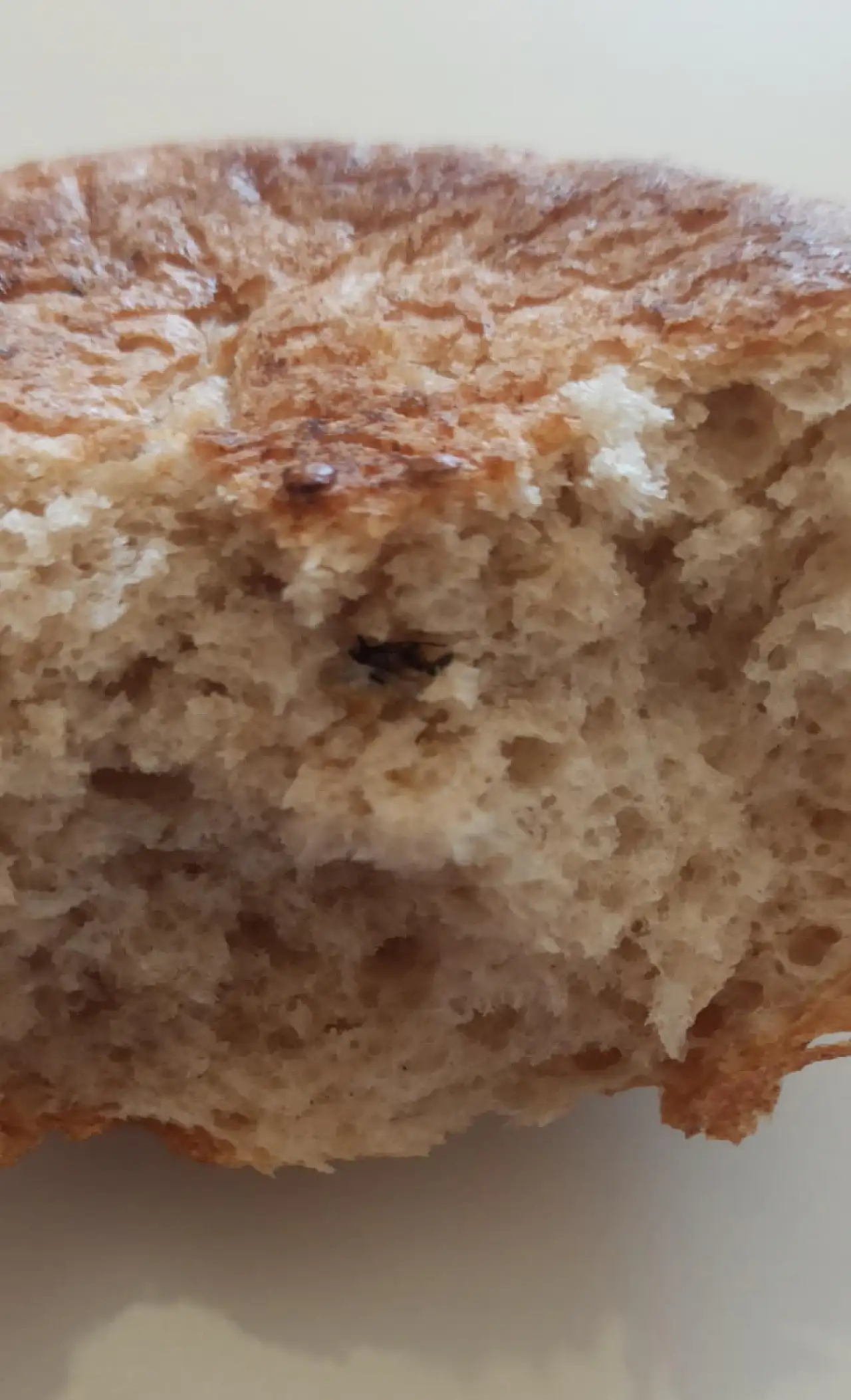 Siirt Eğitim ve Araştırma Hastanesinde Personelin Aldığı ekmekte Böcek Çıktı