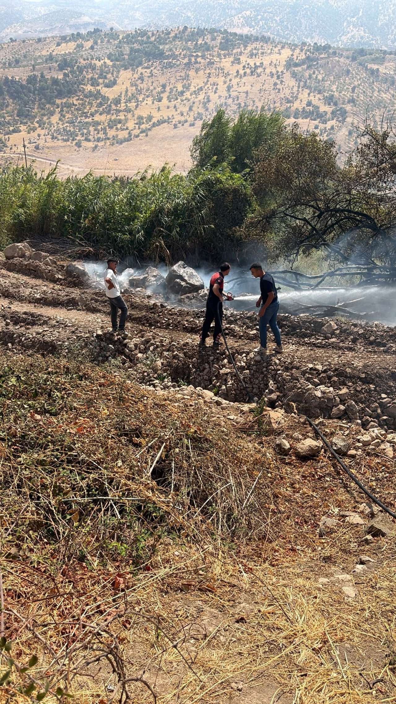 Ekipler Zarova'da çıkan yangına müdahale ederken