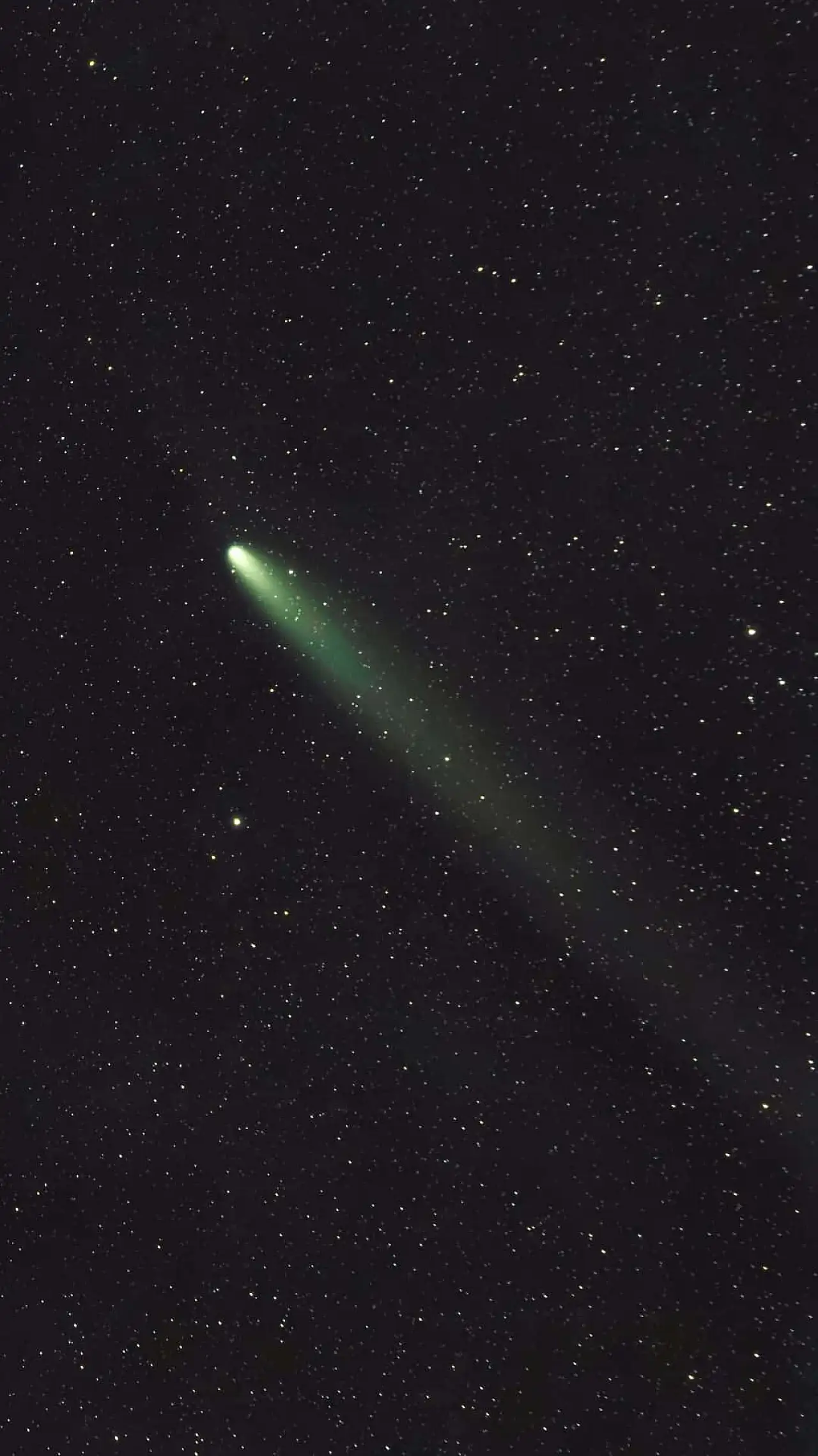 Siirt'te görüntülendi: 1.350 yıl aradan sonra ilk kez