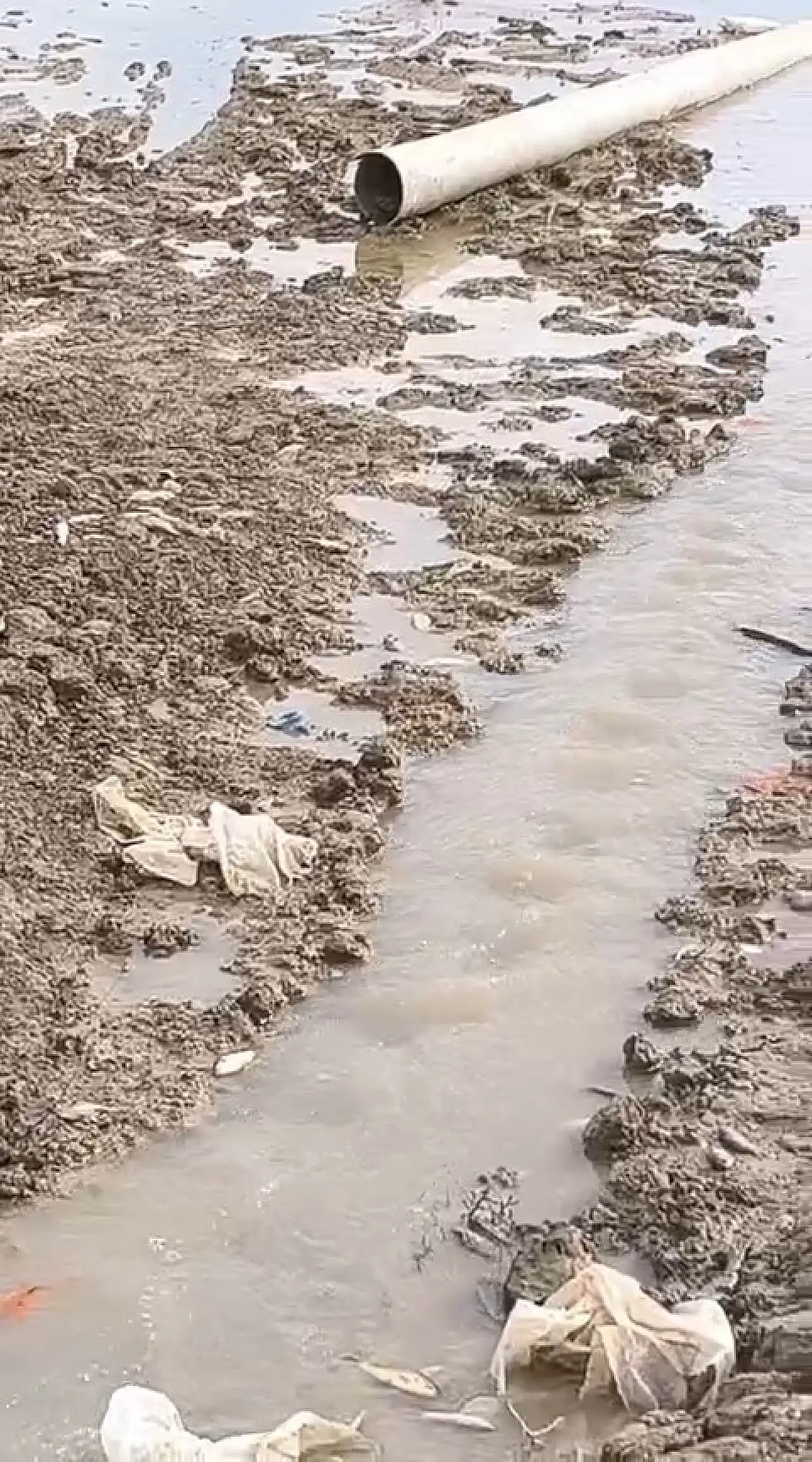 Su Takviyesi Yetersiz Kaldı: Çayırlı Göleti Kuruma Riski Altında