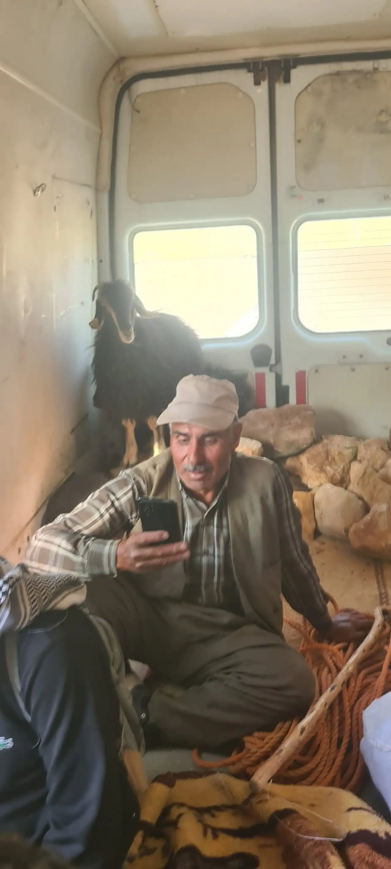 Eruh'ta Kayalıklarda Mahsur Kalan Küçükbaş Hayvanlar 9 Gün Sonra Kurtarıldı