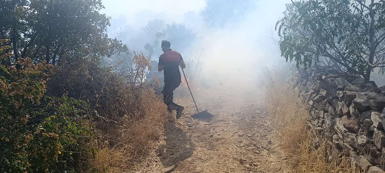 Siirt'te Ormanlık Alanda Yangın: Ekipler Alevlerin Arasına Yaya Girerek Müdahale Ediyor