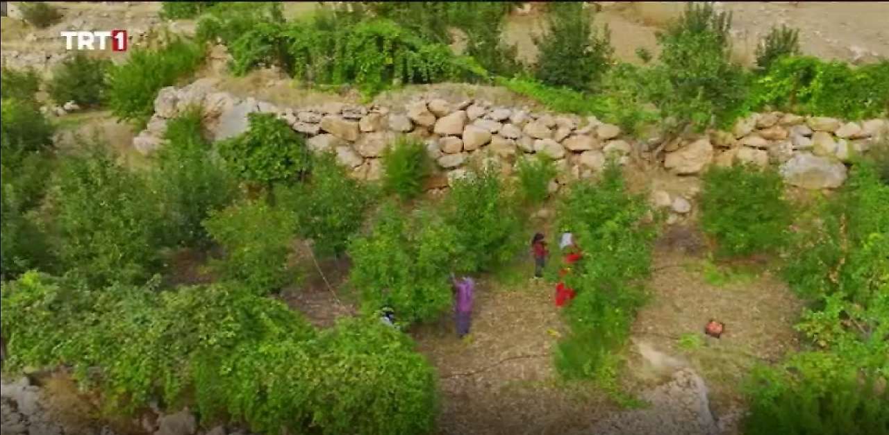 Siirt Eruhlu Kadınların Başarı Hikâyesi TRT 1 Ekranlarında Tanıtıldı