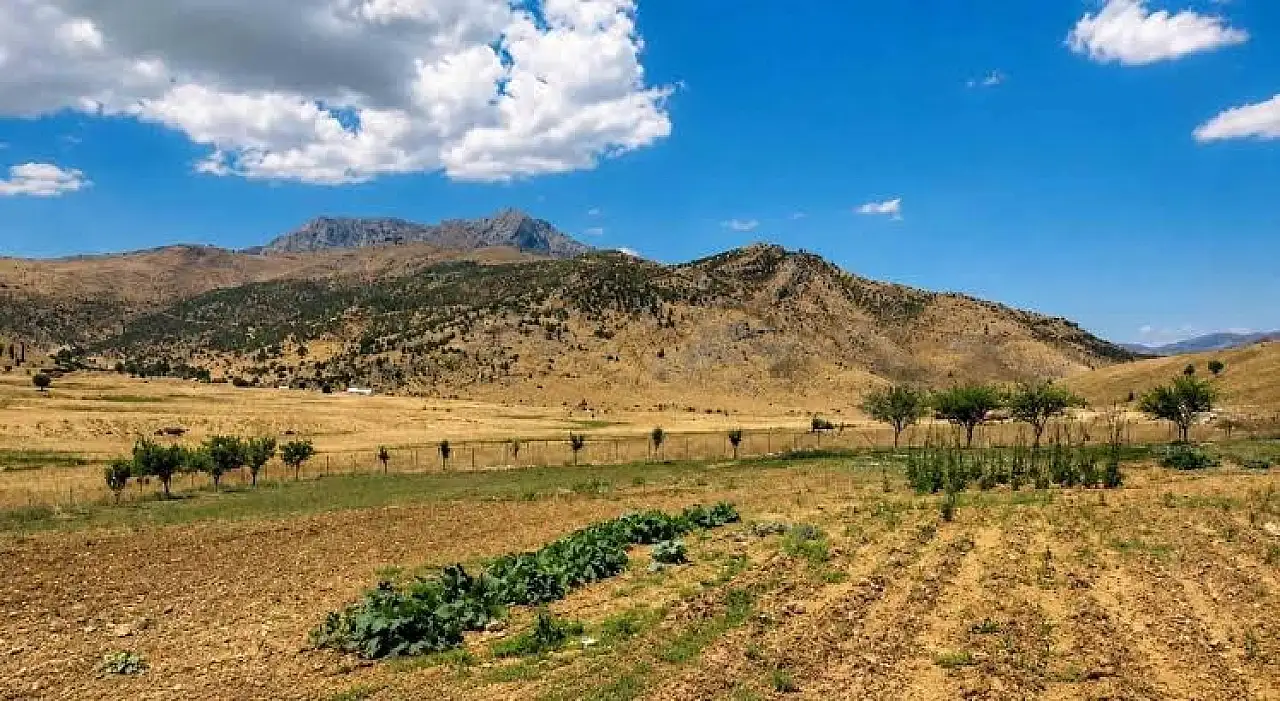 Bitlis'ten Siirt'e Bağlanmışlardı: Şimdi Yeniden Bitlis'e Dönmek İstiyorlar