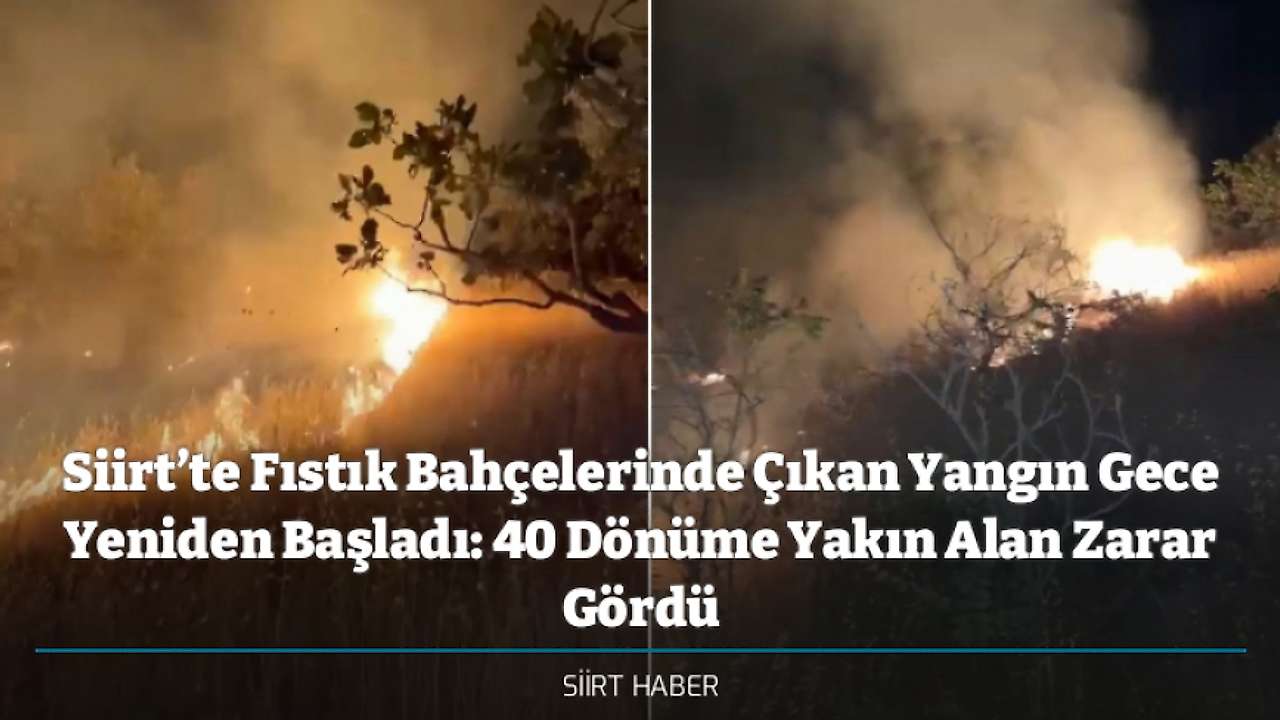 Siirt’te Fıstık Bahçelerinde Çıkan Yangın Gece Yeniden Başladı: 40 Dönüme Yakın Alan Zarar Gördü