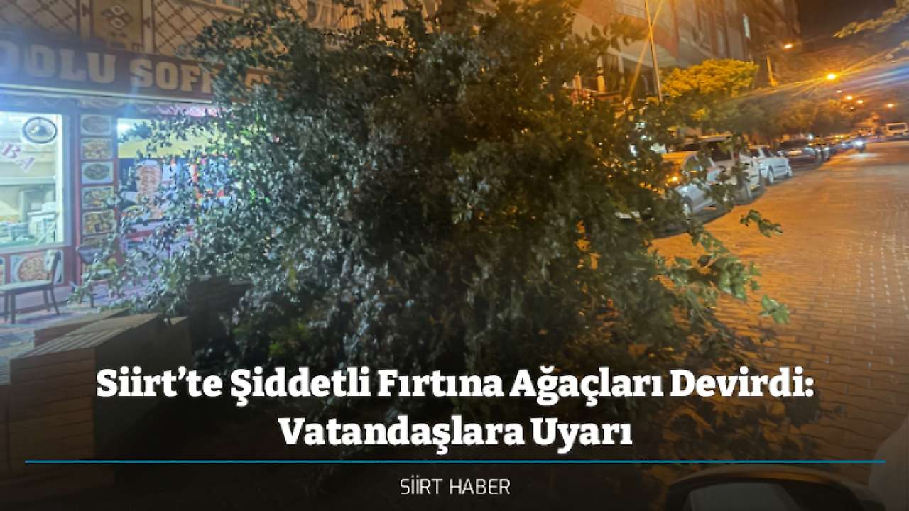 Siirt’te Şiddetli Fırtına Ağaçları Devirdi: Vatandaşlara Uyarı