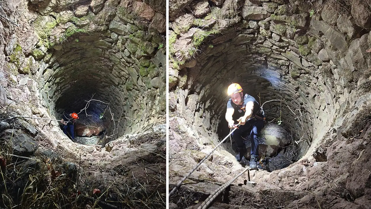 Siirt'te 15 Metrelik Kuyuya Düşen İnek Kurtarıldı