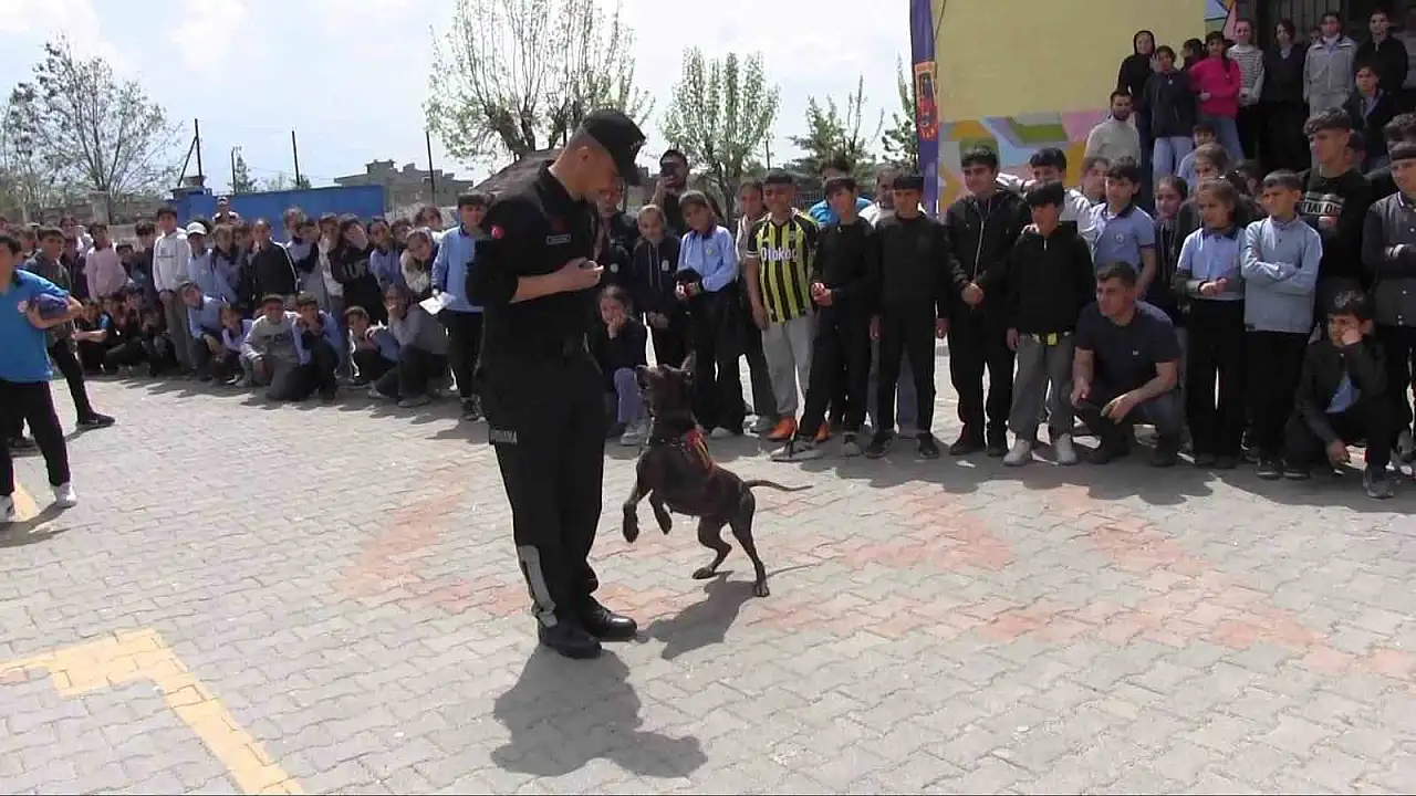 Siirt'te Öğrencilere Dijital Güvenlik Dersi