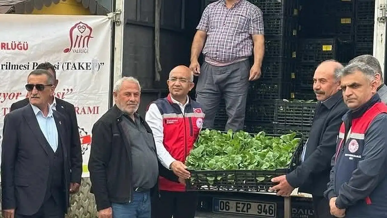 Siirt'te Sebze Üretimine 60 Bin Fide Desteği