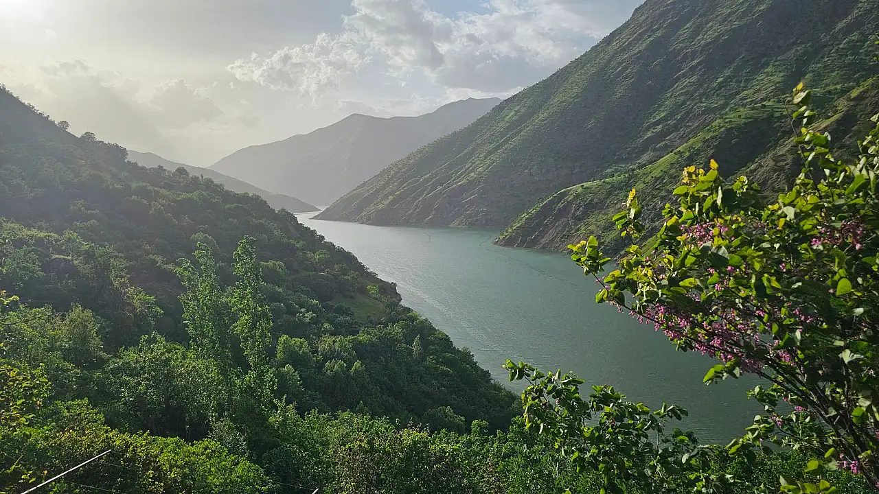 Siirt Pervari'de Gölgeli Köyü İçin Yol İncelemesi: Yemyeşil Vadide Ulaşım Çalışması