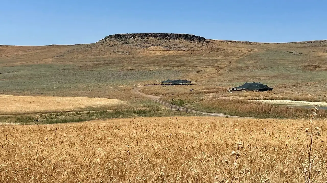 Siirt'te Hayvancılık İçin Önemli Adım: Meralar Yenileniyor