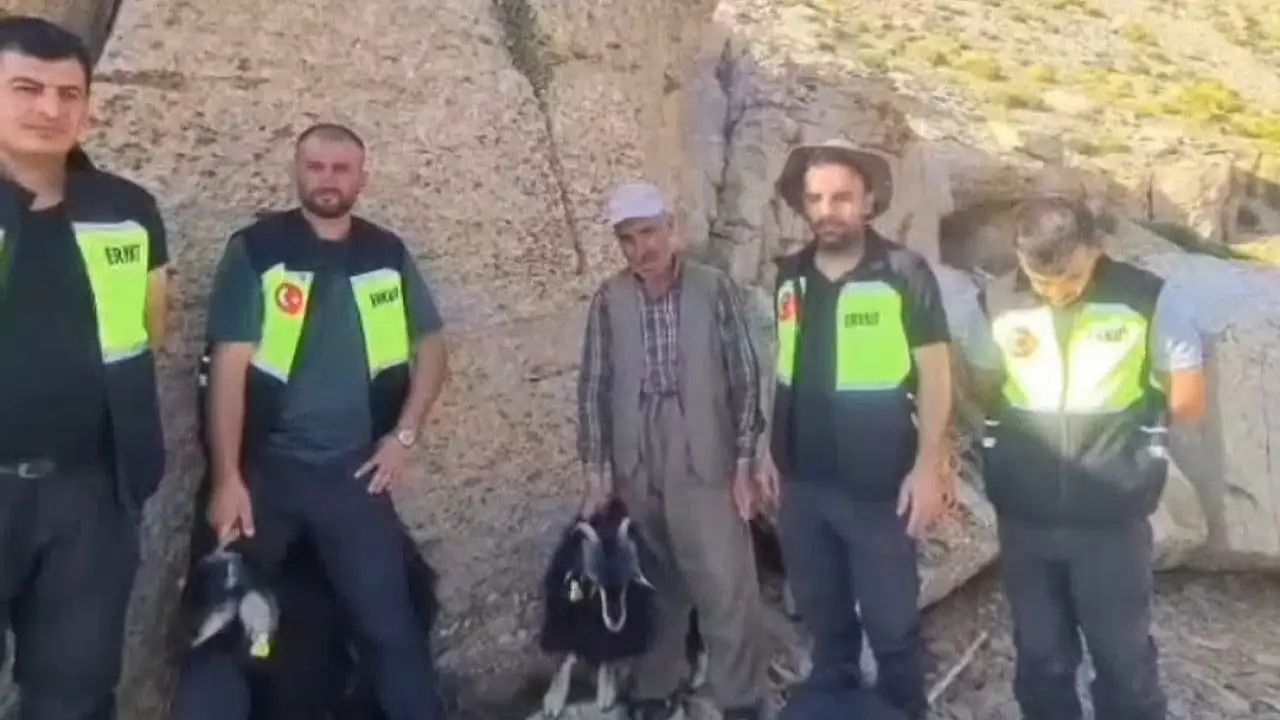 Eruh'ta Kayalıklarda Mahsur Kalan Küçükbaş Hayvanlar 9 Gün Sonra Kurtarıldı