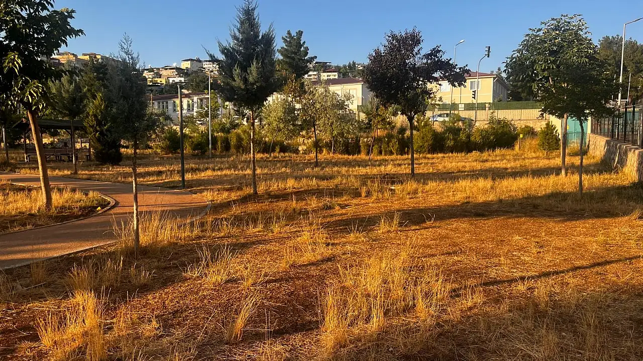 Siirt Millet Bahçesi'nde Çimler Bakımsızlık Nedeniyle Kurudu