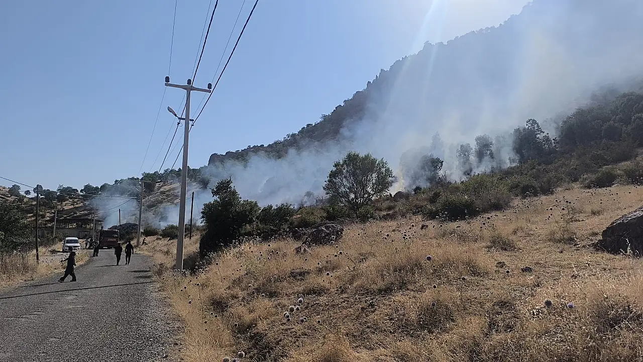 Siirt'te Çıkan Orman Yangını Kontrol Altına Alındı