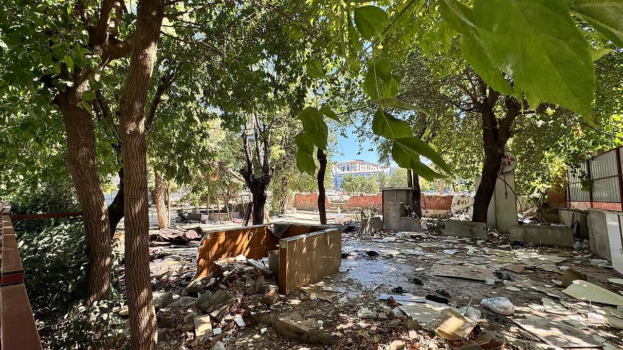Siirt'te Mevlana Çay Bahçesi Boşaltıldı, Gözler Onlarca Büyük Ağaçta